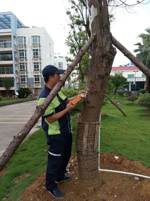 有害生物防治指南 贺州市康臣的专业之道