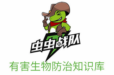 揭秘双刺猛蚁属特征及有害生物防治指南