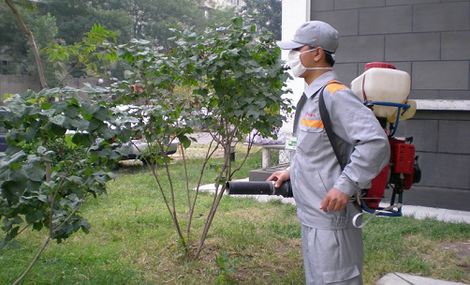 国家职业资格证书林业有害生物防治员报名报考及办理指南