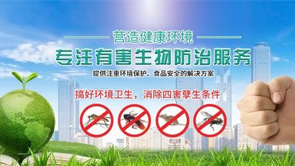 守护家园安宁 贵阳有害生物防治的专业之路