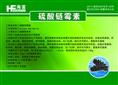 防治海参常发病，首选水产药品“参毒净”——广东海富生物科技为您保驾护航