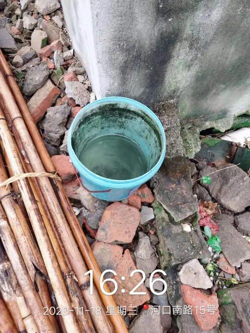 海口拜克美害虫防治 守护滨江街道河口南路建筑环境健康